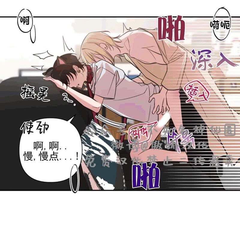 我同期的取向/我同学的性取向[耽美]韩漫全集-第30话无删减无遮挡章节图片 