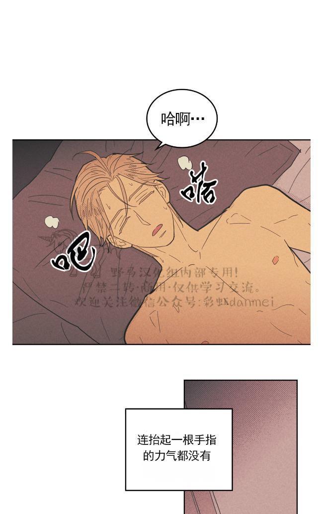 onoroff[耽美]韩漫全集-第36话无删减无遮挡章节图片 