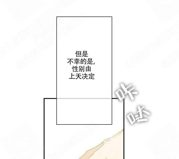 蜜月/新婚[耽美]韩漫全集-第1话无删减无遮挡章节图片 