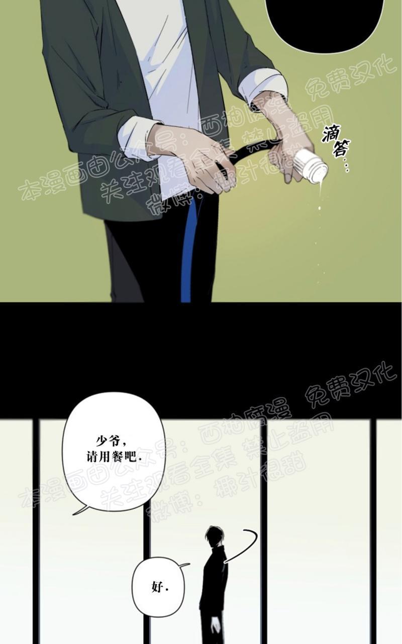 aporia/臣服关系/难以解决的问题[耽美]韩漫全集-第39话无删减无遮挡章节图片 