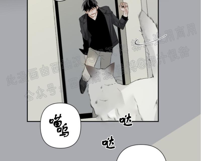 aporia/臣服关系/难以解决的问题[耽美]韩漫全集-第43话无删减无遮挡章节图片 