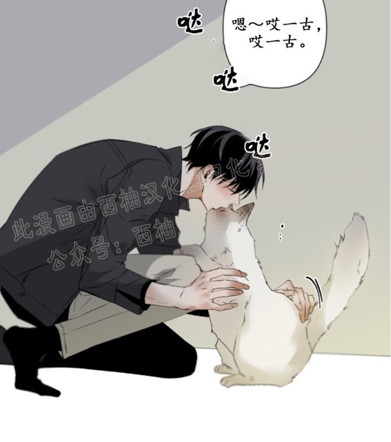 aporia/臣服关系/难以解决的问题[耽美]韩漫全集-第43话无删减无遮挡章节图片 