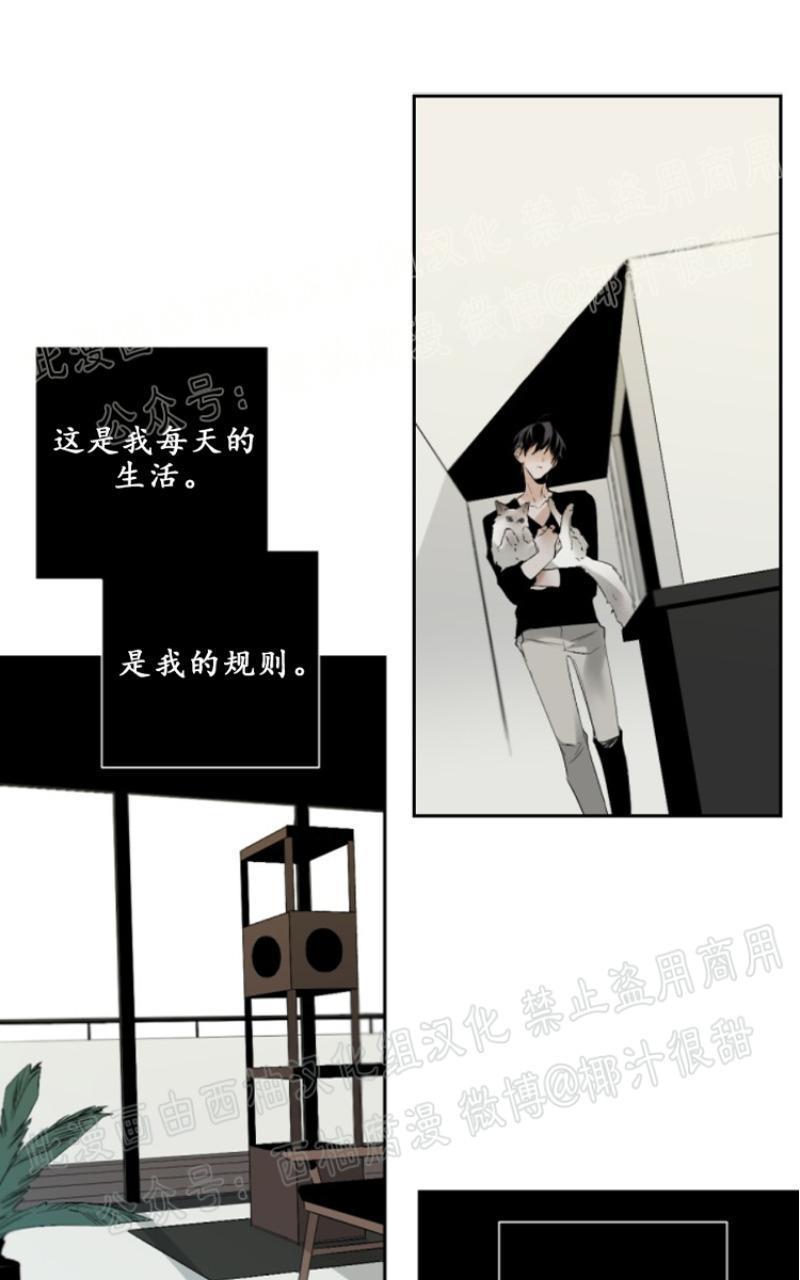 aporia/臣服关系/难以解决的问题[耽美]韩漫全集-第43话无删减无遮挡章节图片 
