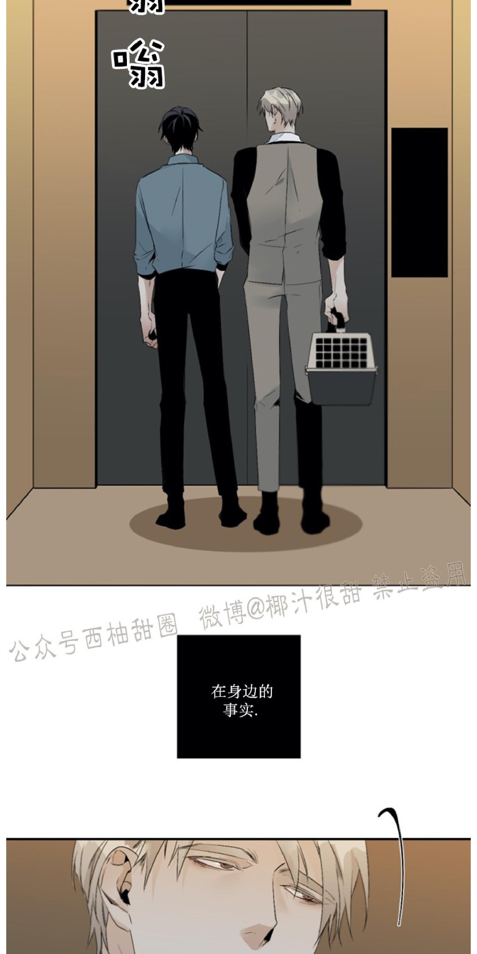 aporia/臣服关系/难以解决的问题[耽美]韩漫全集-第52话无删减无遮挡章节图片 