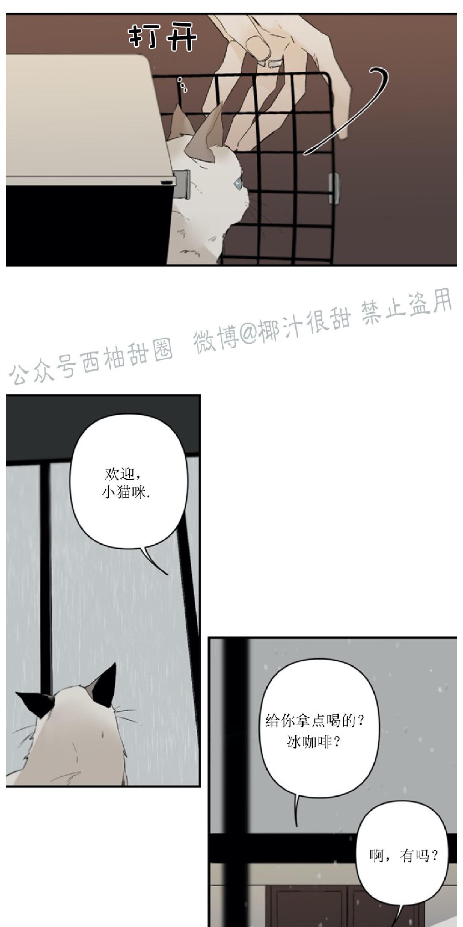 aporia/臣服关系/难以解决的问题[耽美]韩漫全集-第52话无删减无遮挡章节图片 
