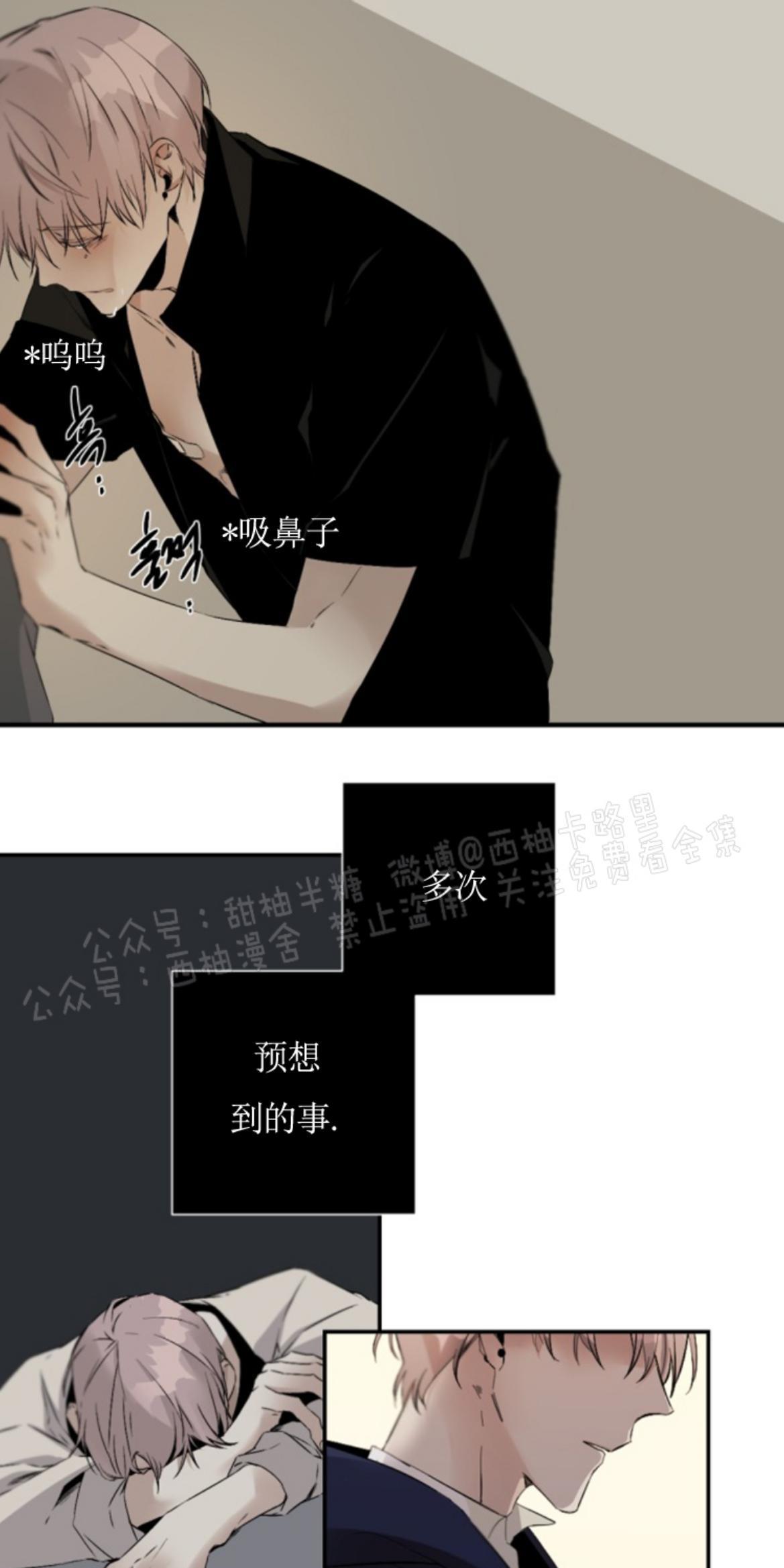 aporia/臣服关系/难以解决的问题[耽美]韩漫全集-第54话无删减无遮挡章节图片 