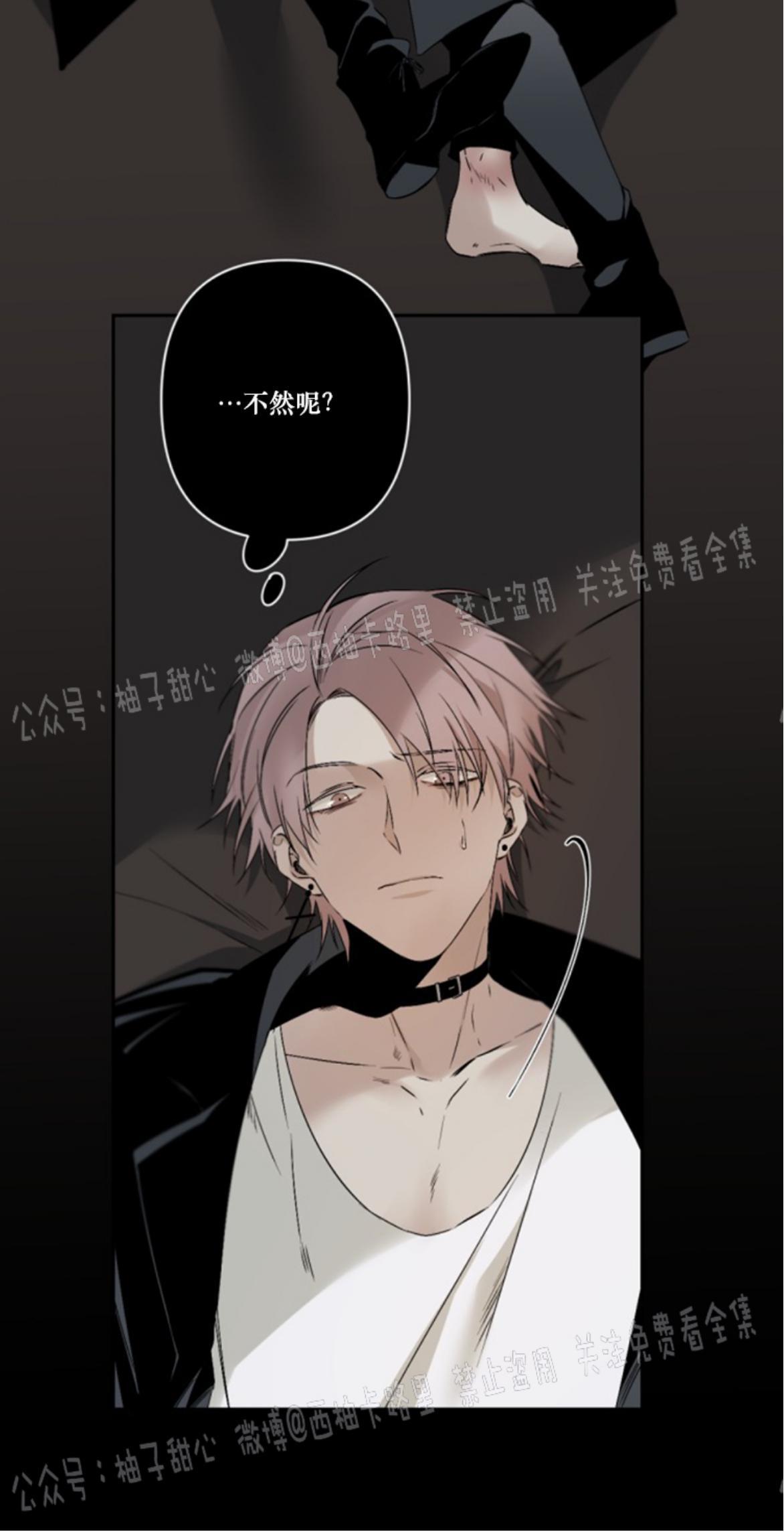 aporia/臣服关系/难以解决的问题[耽美]韩漫全集-第58话无删减无遮挡章节图片 
