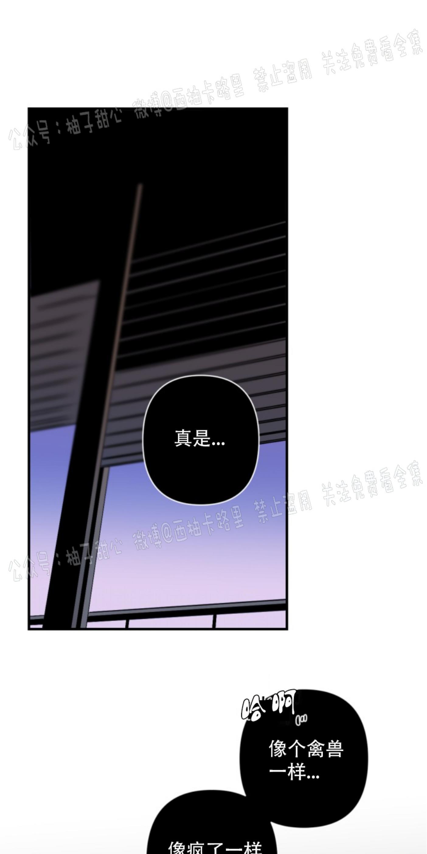 aporia/臣服关系/难以解决的问题[耽美]韩漫全集-第61话无删减无遮挡章节图片 