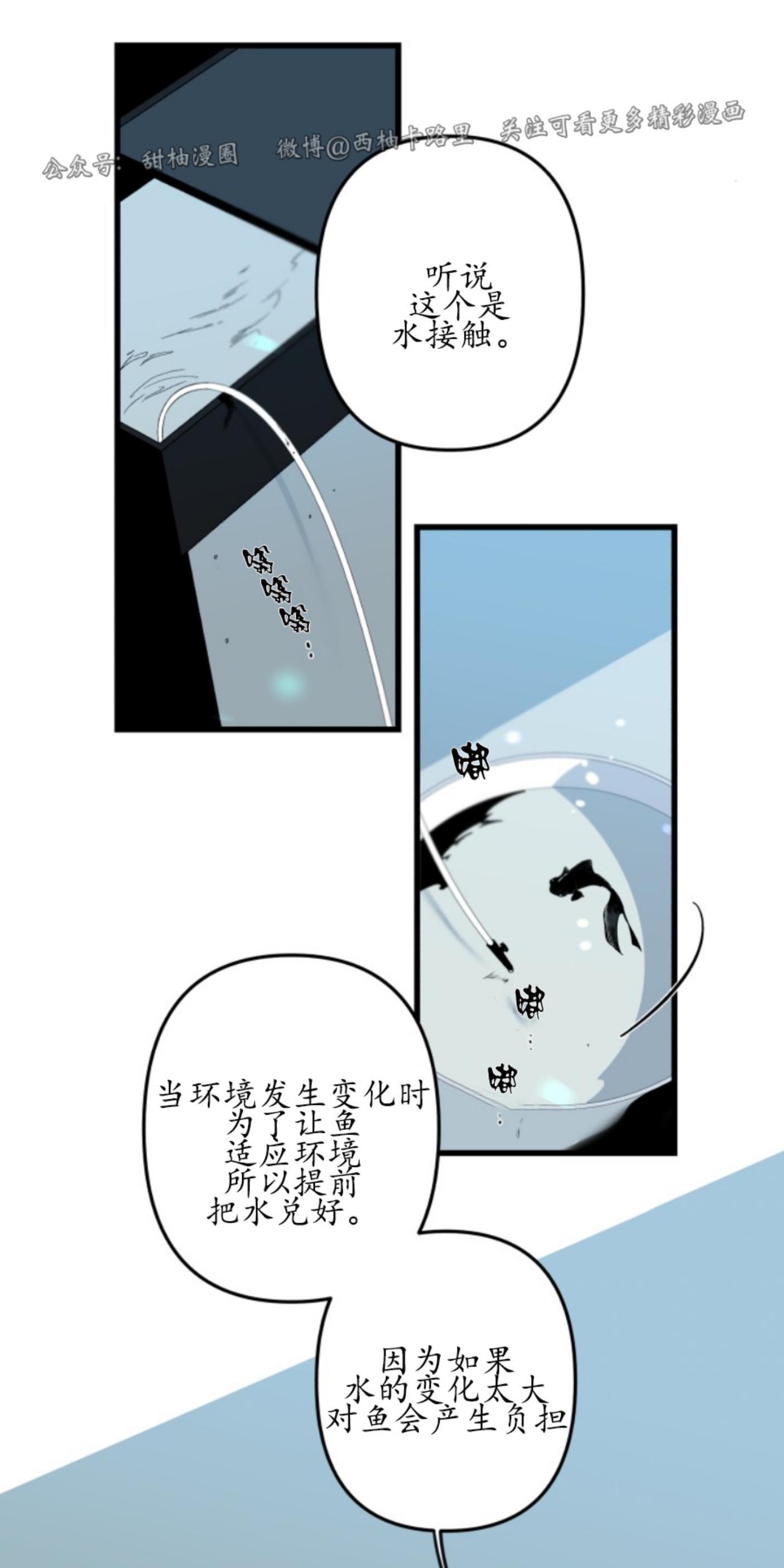 aporia/臣服关系/难以解决的问题[耽美]韩漫全集-第74话无删减无遮挡章节图片 