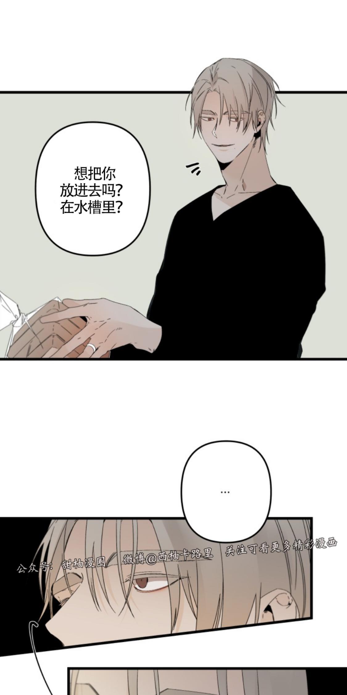 aporia/臣服关系/难以解决的问题[耽美]韩漫全集-番外1无删减无遮挡章节图片 