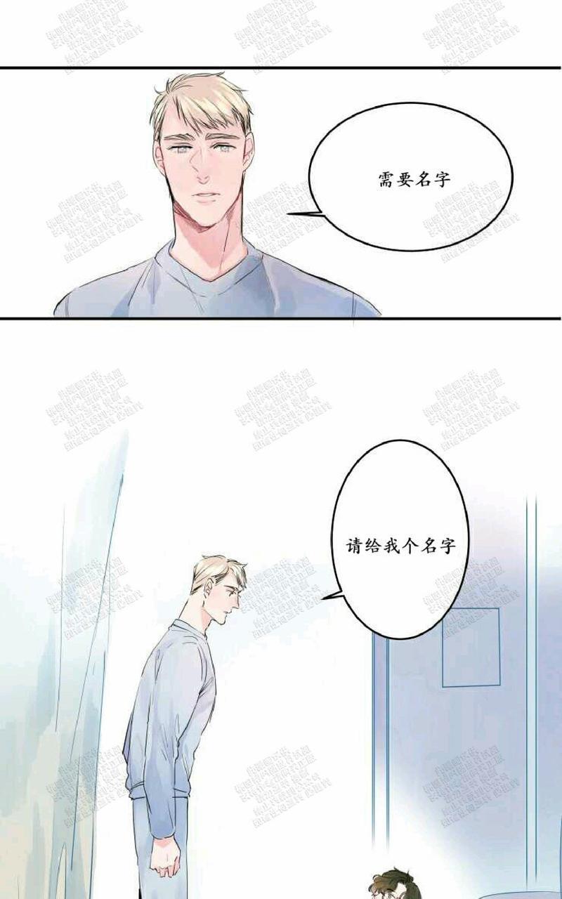 我的机器人诺伊[耽美]韩漫全集-第2话无删减无遮挡章节图片 
