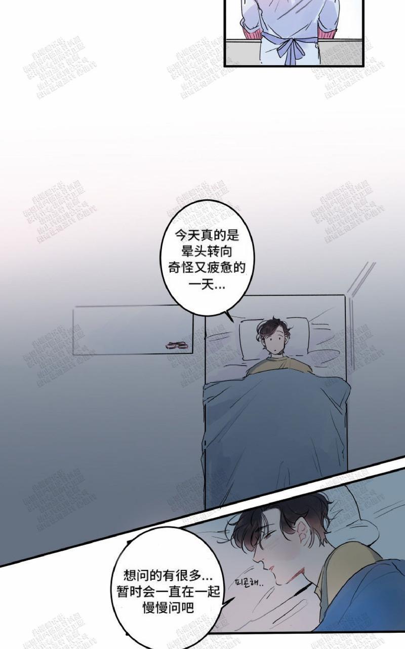 我的机器人诺伊[耽美]韩漫全集-第6话无删减无遮挡章节图片 