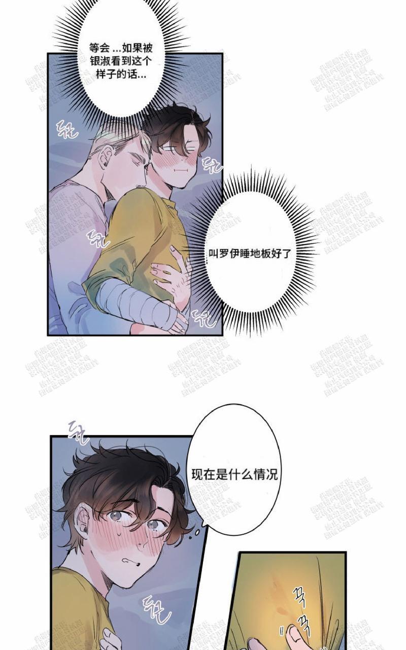 我的机器人诺伊[耽美]韩漫全集-第8话无删减无遮挡章节图片 