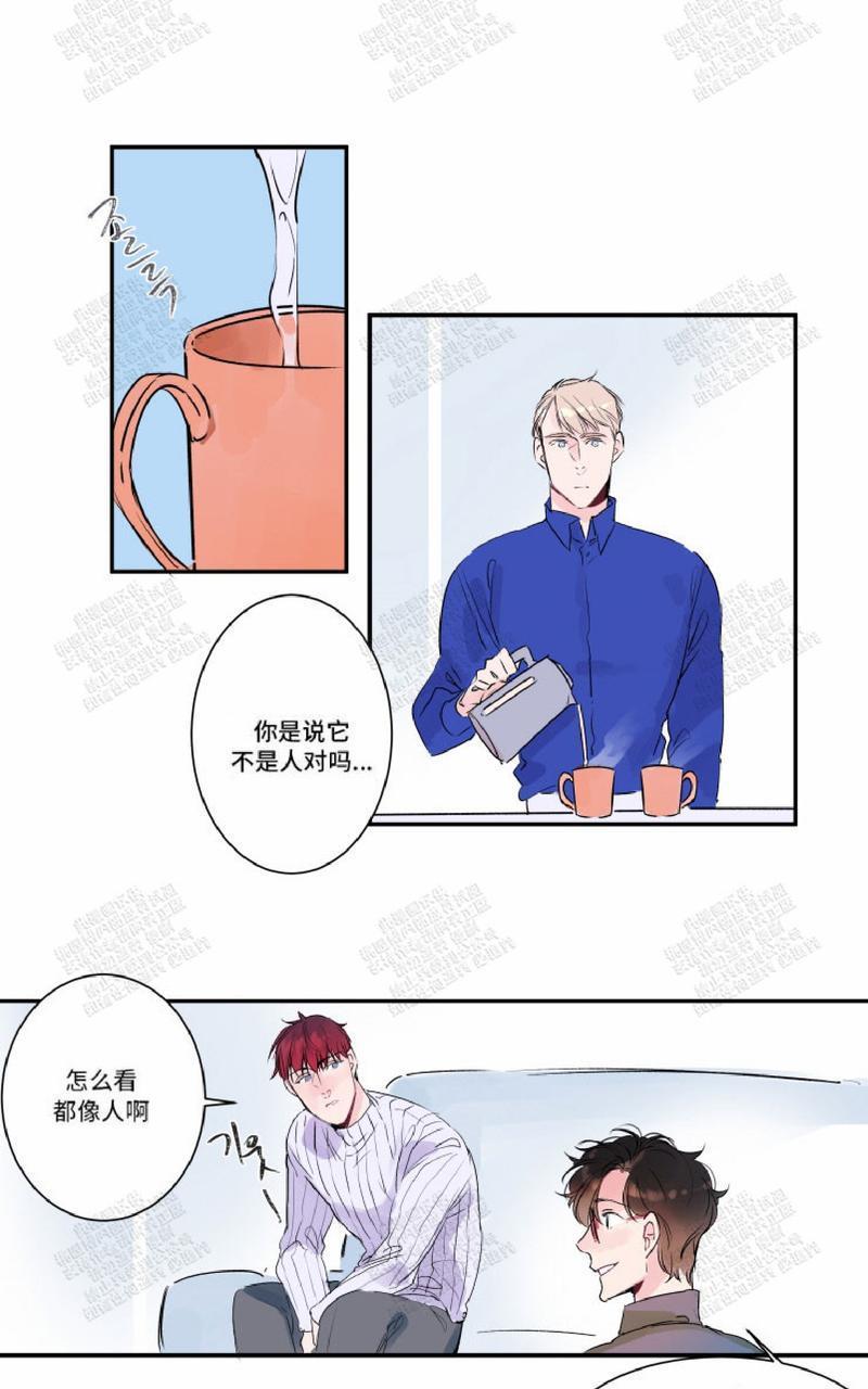 我的机器人诺伊[耽美]韩漫全集-第13话无删减无遮挡章节图片 