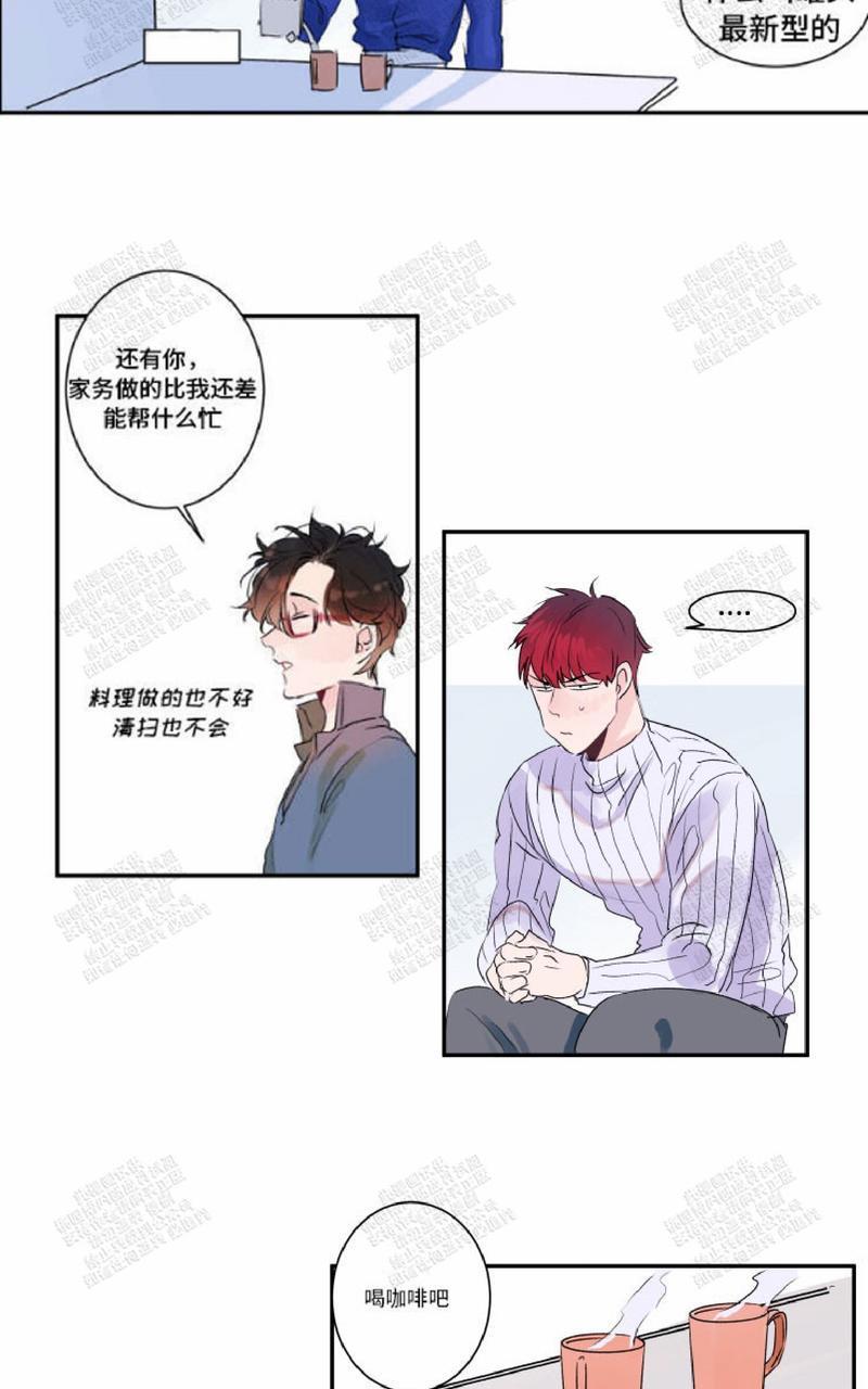 我的机器人诺伊[耽美]韩漫全集-第13话无删减无遮挡章节图片 