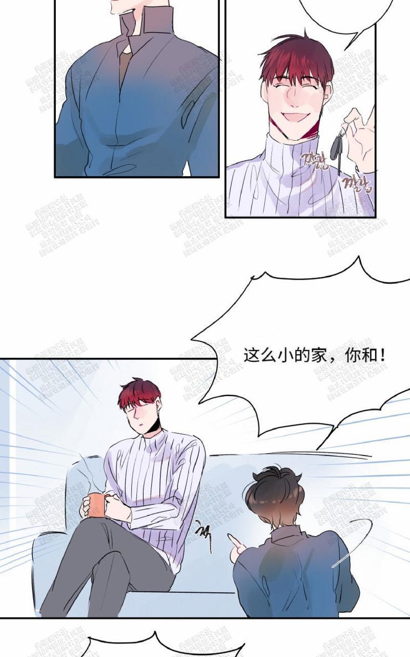 我的机器人诺伊[耽美]韩漫全集-第13话无删减无遮挡章节图片 