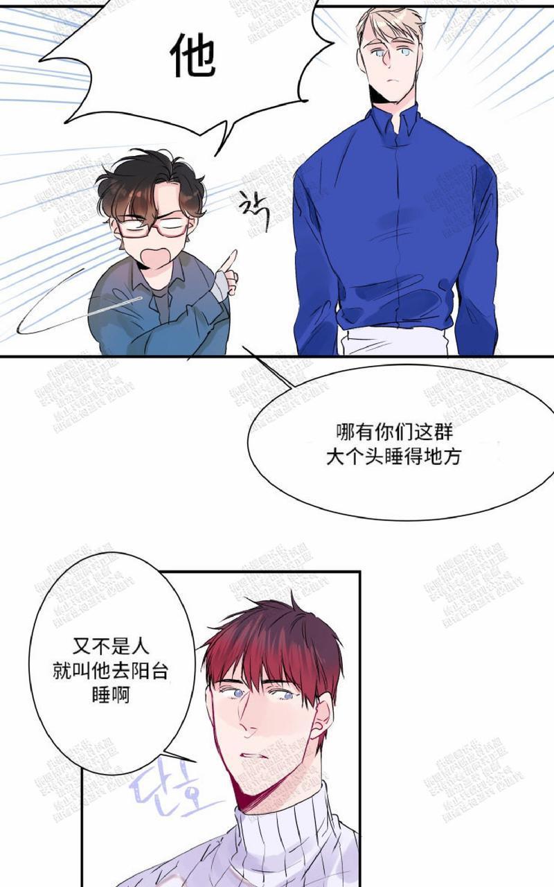 我的机器人诺伊[耽美]韩漫全集-第13话无删减无遮挡章节图片 