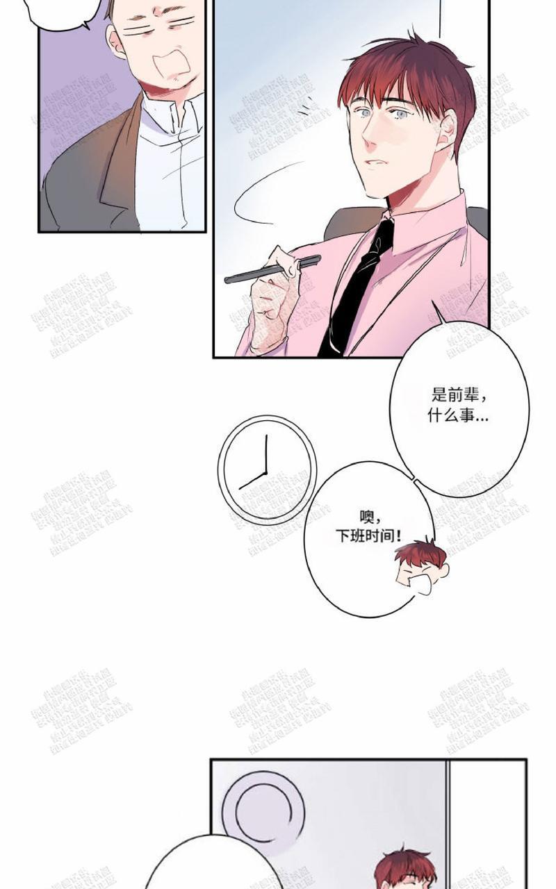 我的机器人诺伊[耽美]韩漫全集-第15话无删减无遮挡章节图片 