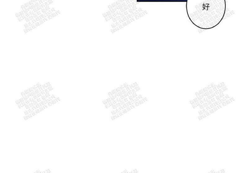 我的机器人诺伊[耽美]韩漫全集-第19话无删减无遮挡章节图片 