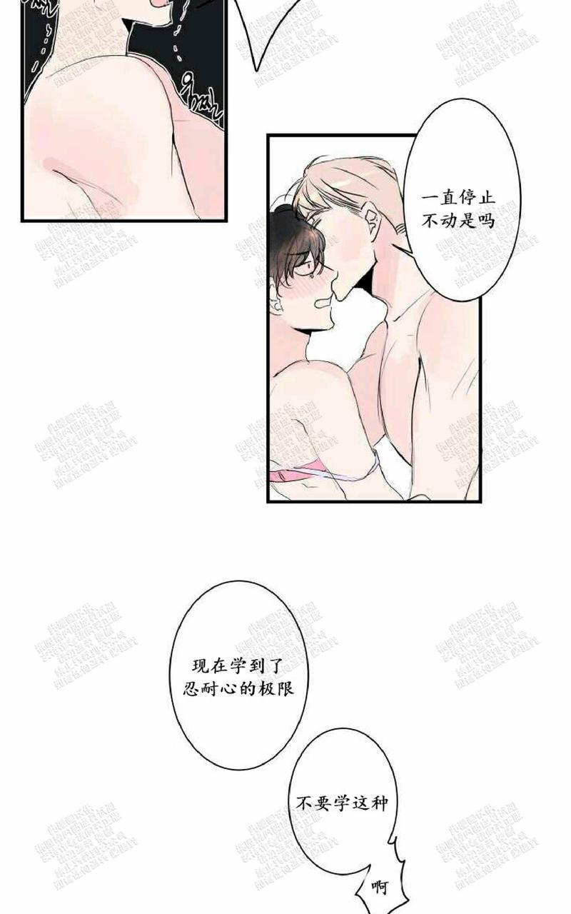 我的机器人诺伊[耽美]韩漫全集-第21话无删减无遮挡章节图片 