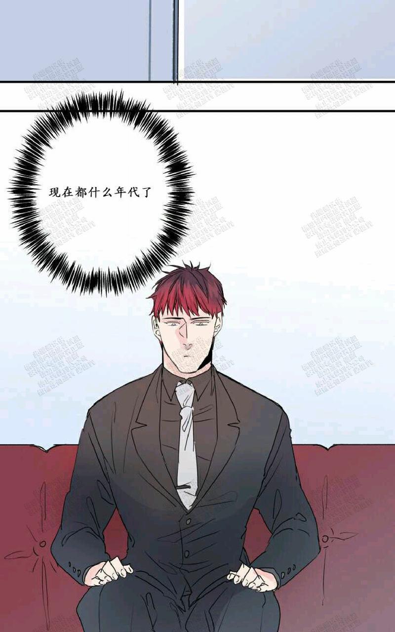 我的机器人诺伊[耽美]韩漫全集-第21话无删减无遮挡章节图片 