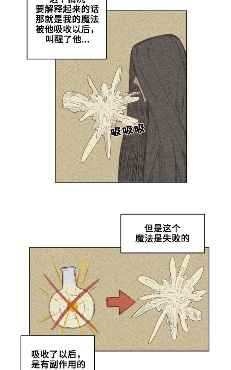 不一样的魔法师/奇幻魔法师[耽美]韩漫全集-第3话无删减无遮挡章节图片 