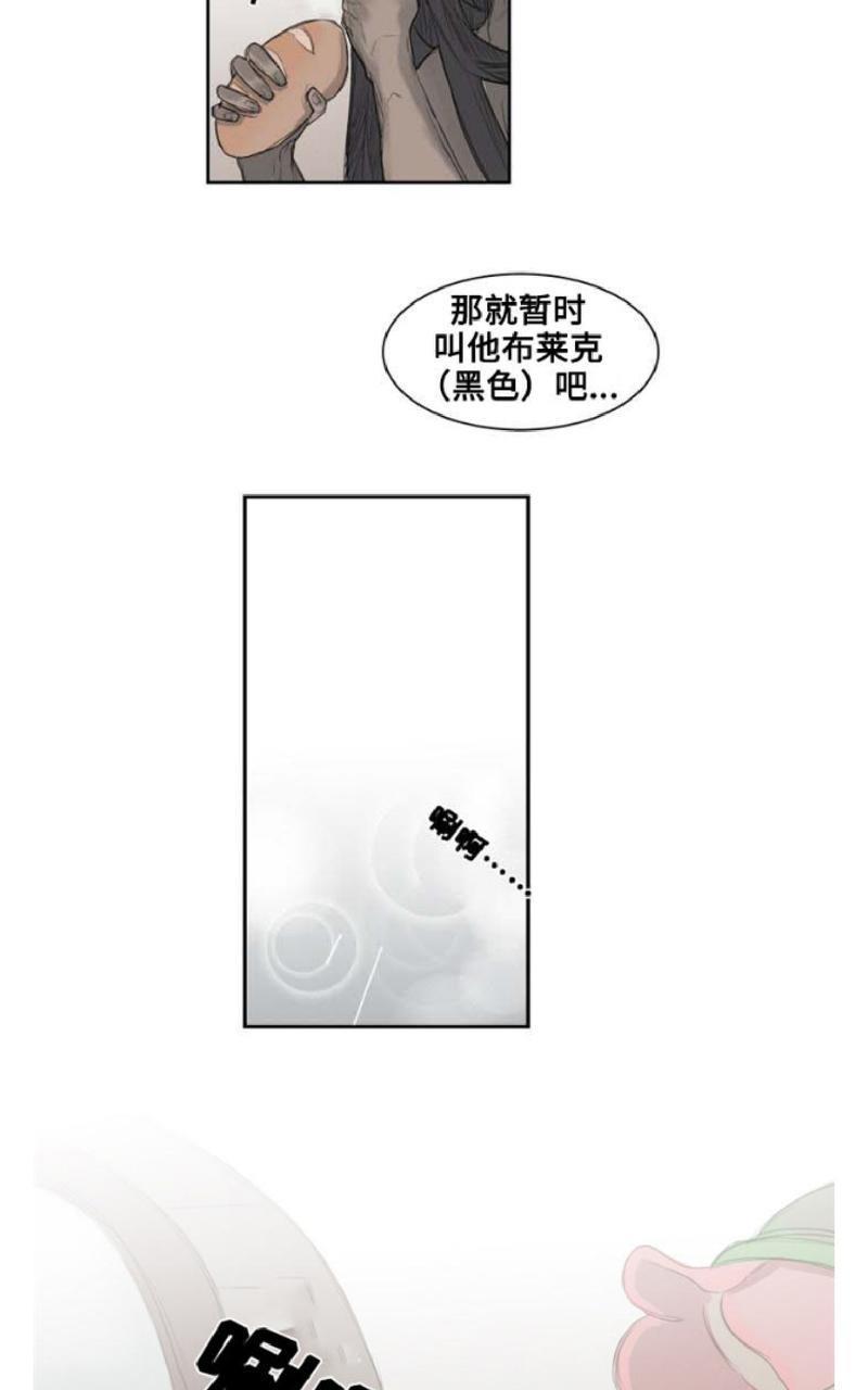 不一样的魔法师/奇幻魔法师[耽美]韩漫全集-第3话无删减无遮挡章节图片 