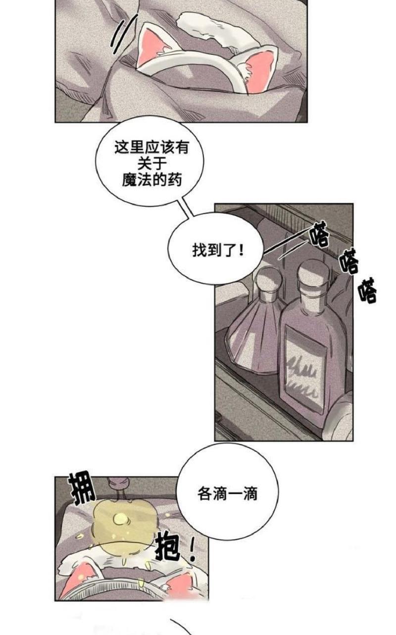 不一样的魔法师/奇幻魔法师[耽美]韩漫全集-第9话无删减无遮挡章节图片 
