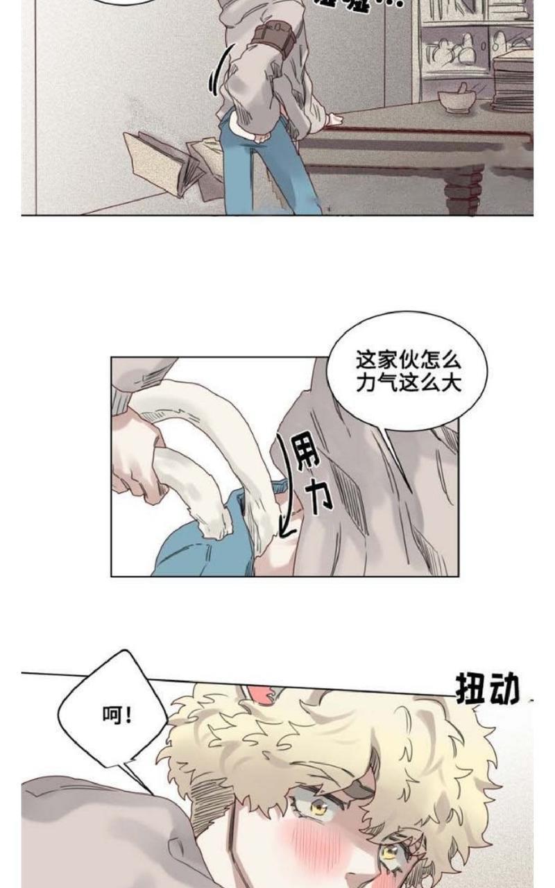 不一样的魔法师/奇幻魔法师[耽美]韩漫全集-第9话无删减无遮挡章节图片 
