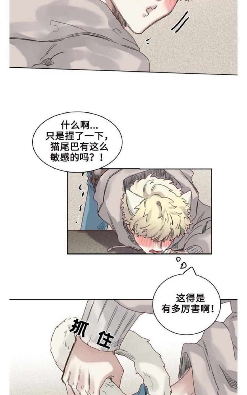 不一样的魔法师/奇幻魔法师[耽美]韩漫全集-第9话无删减无遮挡章节图片 