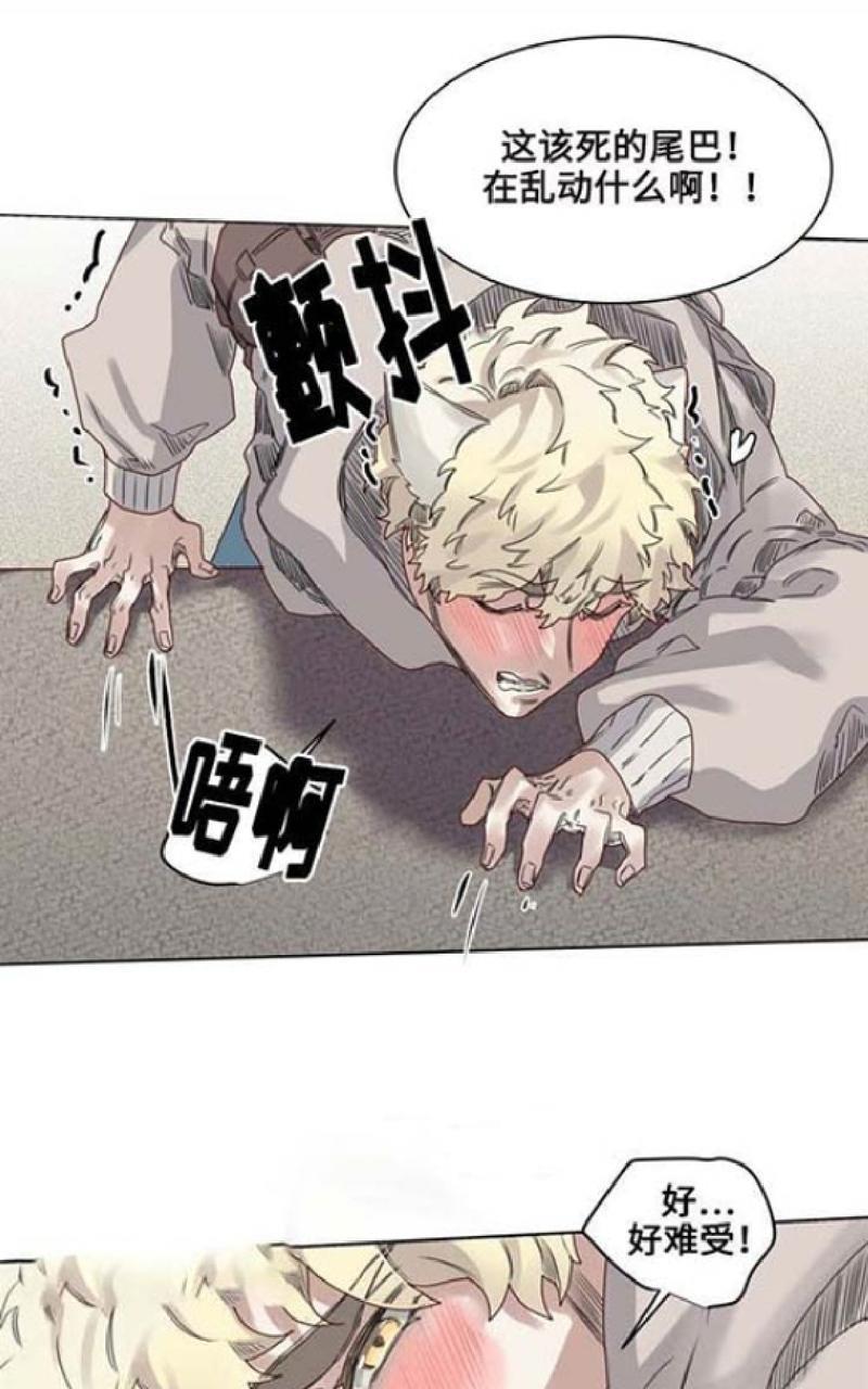 不一样的魔法师/奇幻魔法师[耽美]韩漫全集-第10话无删减无遮挡章节图片 