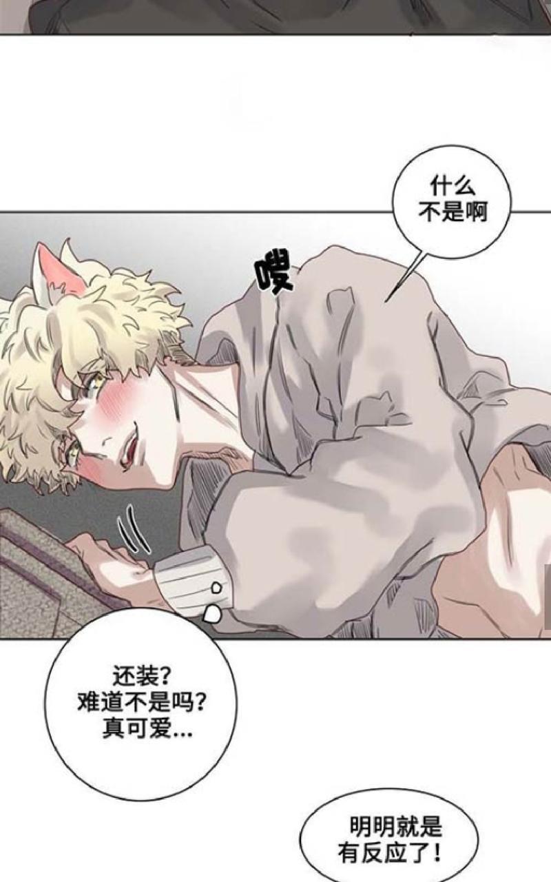 不一样的魔法师/奇幻魔法师[耽美]韩漫全集-第10话无删减无遮挡章节图片 