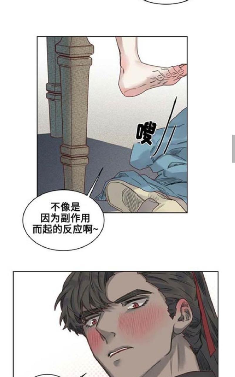 不一样的魔法师/奇幻魔法师[耽美]韩漫全集-第10话无删减无遮挡章节图片 