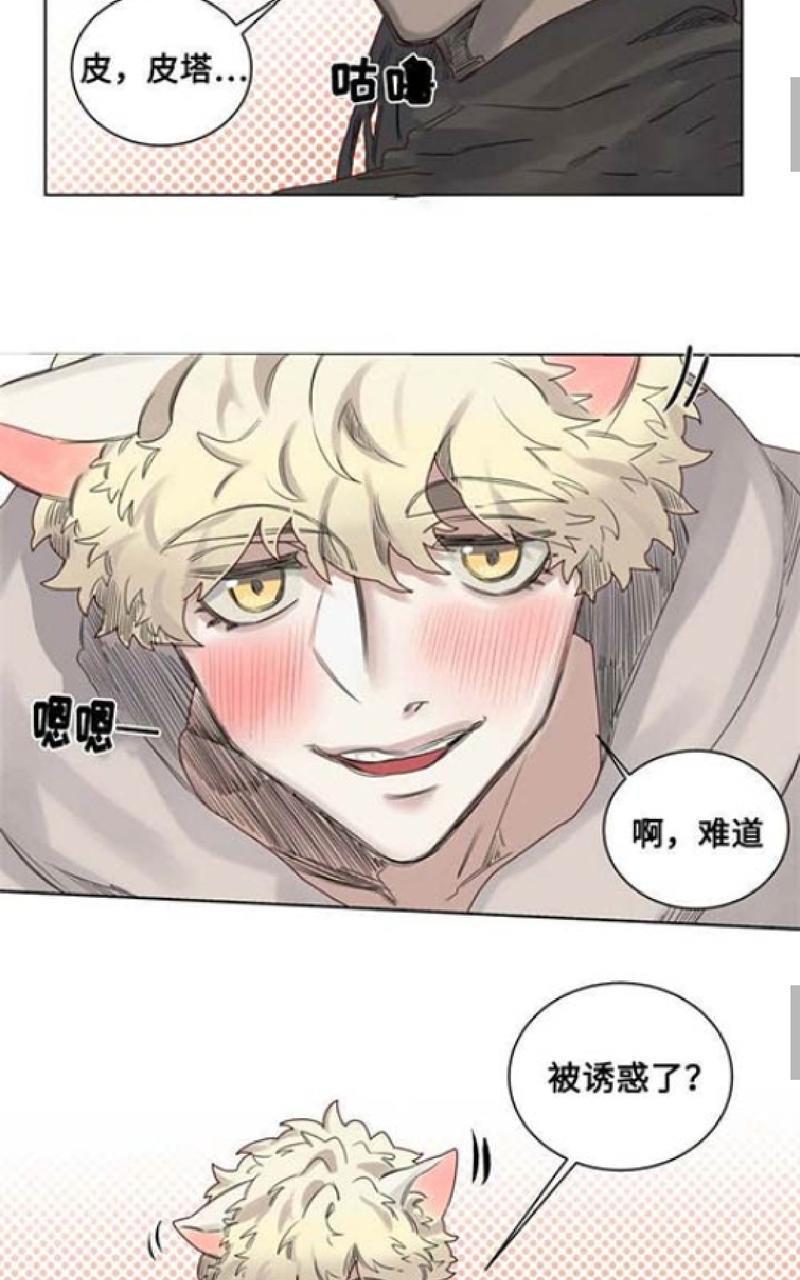 不一样的魔法师/奇幻魔法师[耽美]韩漫全集-第10话无删减无遮挡章节图片 