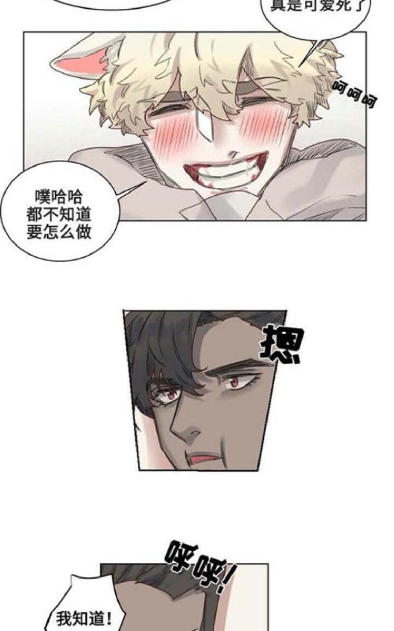 不一样的魔法师/奇幻魔法师[耽美]韩漫全集-第10话无删减无遮挡章节图片 