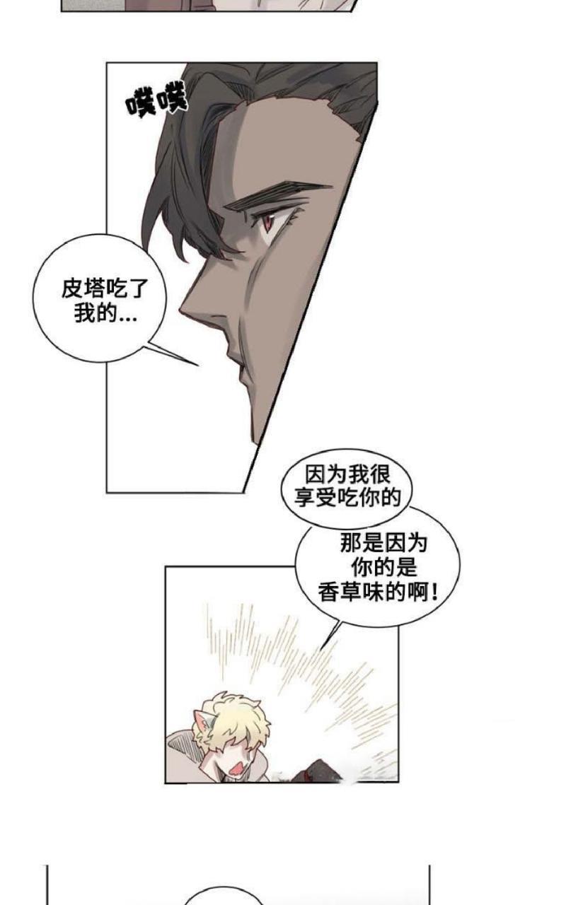 不一样的魔法师/奇幻魔法师[耽美]韩漫全集-第11话无删减无遮挡章节图片 