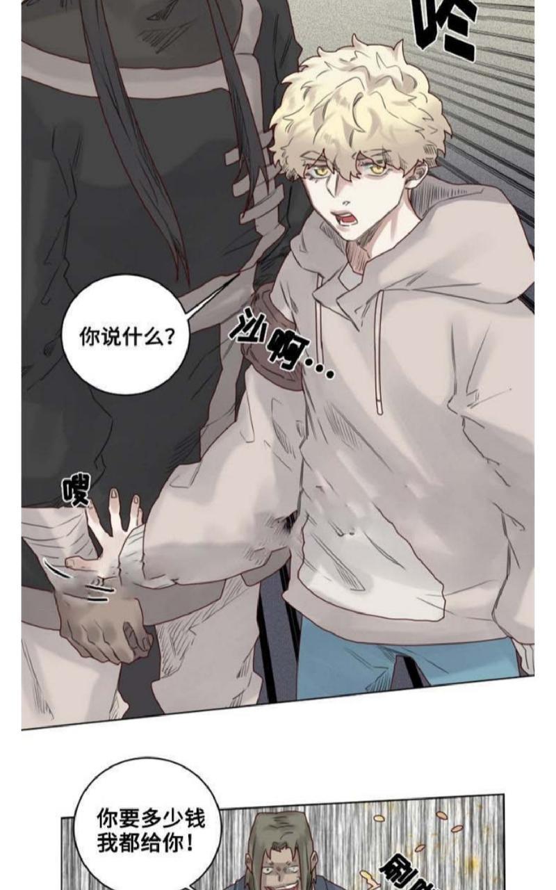 不一样的魔法师/奇幻魔法师[耽美]韩漫全集-第12话无删减无遮挡章节图片 