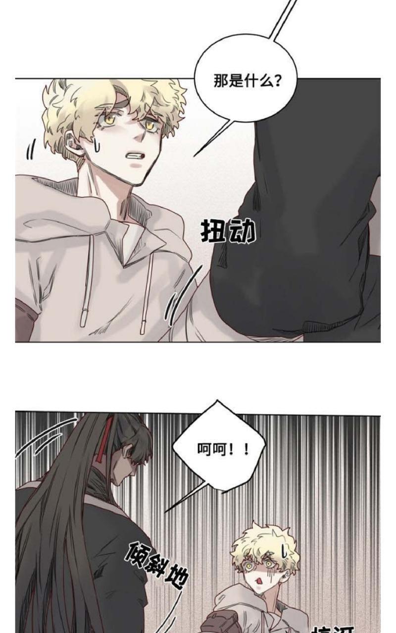 不一样的魔法师/奇幻魔法师[耽美]韩漫全集-第13话无删减无遮挡章节图片 