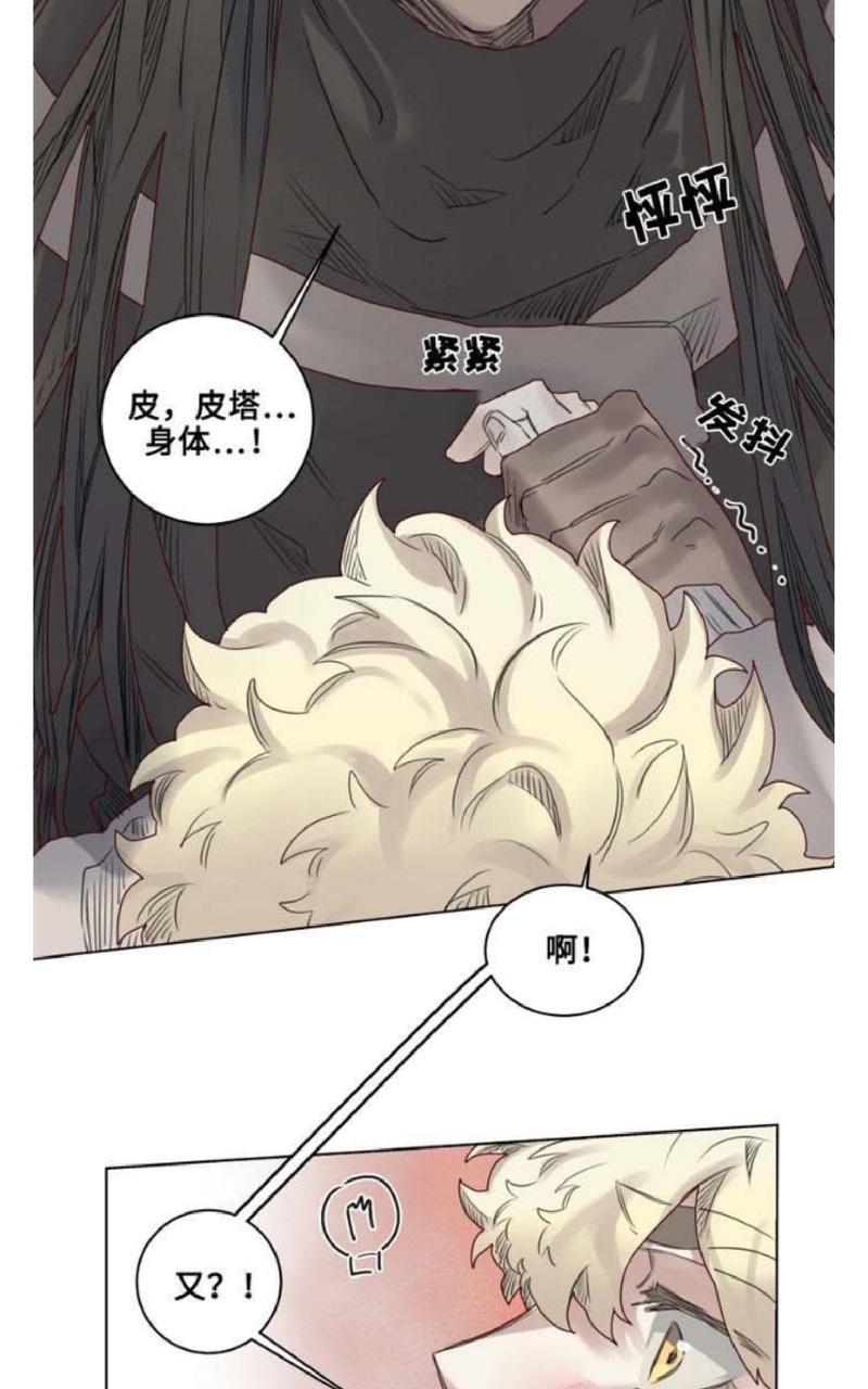 不一样的魔法师/奇幻魔法师[耽美]韩漫全集-第13话无删减无遮挡章节图片 