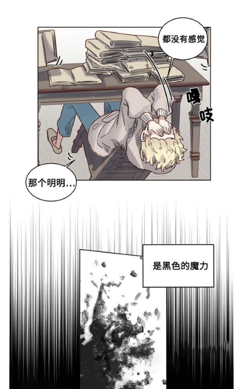 不一样的魔法师/奇幻魔法师[耽美]韩漫全集-第14话无删减无遮挡章节图片 