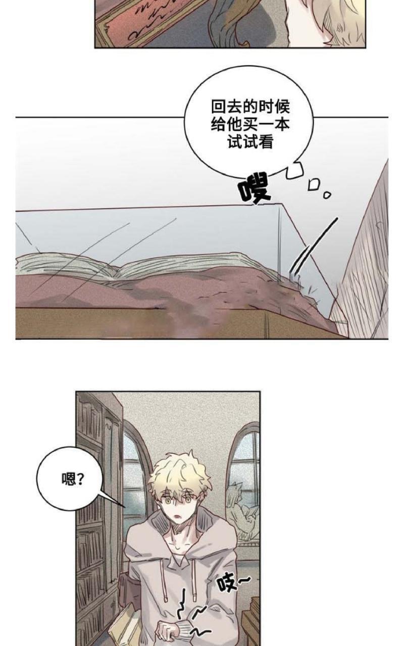 不一样的魔法师/奇幻魔法师[耽美]韩漫全集-第15话无删减无遮挡章节图片 