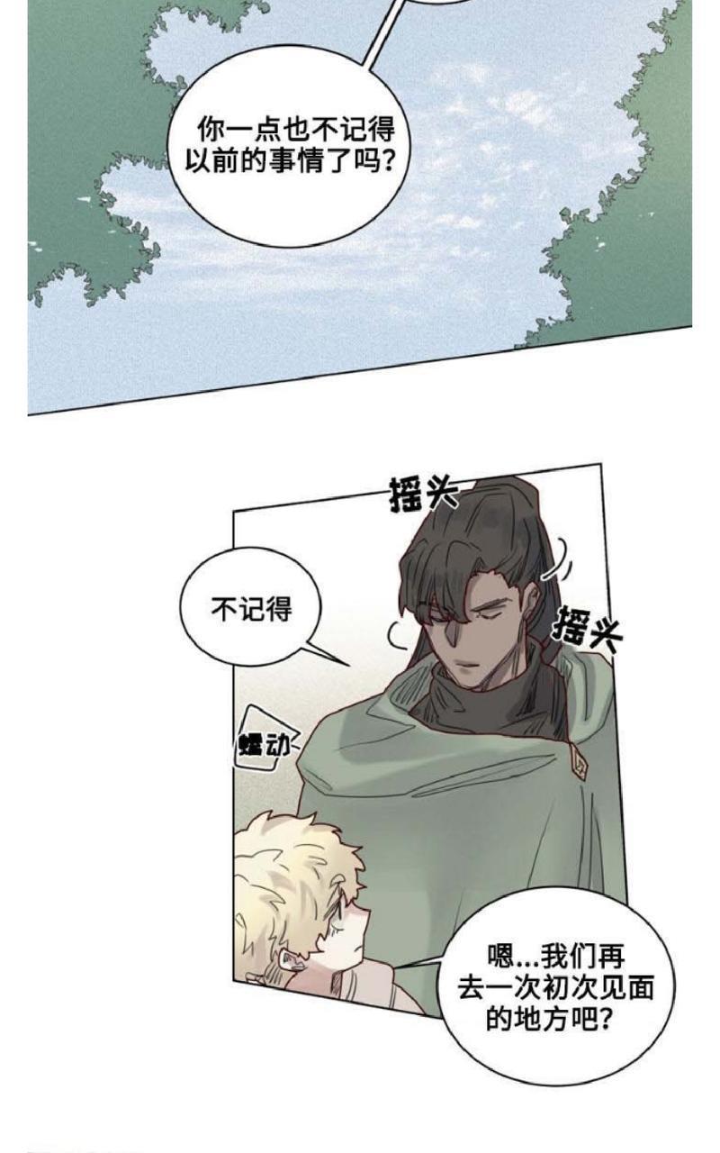 不一样的魔法师/奇幻魔法师[耽美]韩漫全集-第16话无删减无遮挡章节图片 