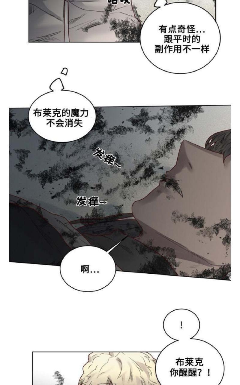 不一样的魔法师/奇幻魔法师[耽美]韩漫全集-第17话无删减无遮挡章节图片 
