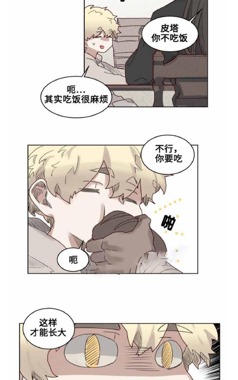 不一样的魔法师/奇幻魔法师[耽美]韩漫全集-第18话无删减无遮挡章节图片 