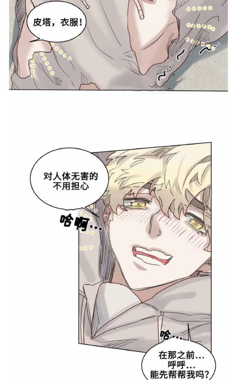 不一样的魔法师/奇幻魔法师[耽美]韩漫全集-第19话无删减无遮挡章节图片 