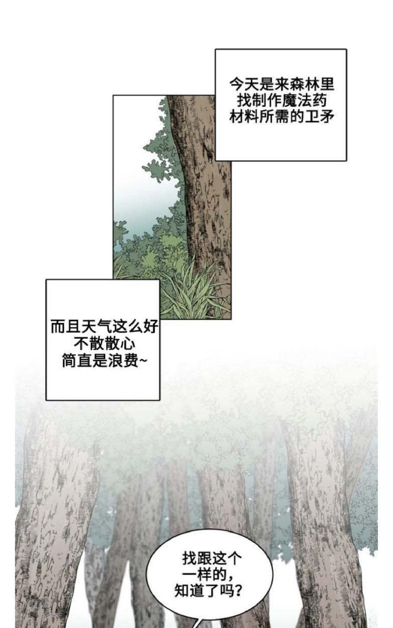 不一样的魔法师/奇幻魔法师[耽美]韩漫全集-第20话无删减无遮挡章节图片 