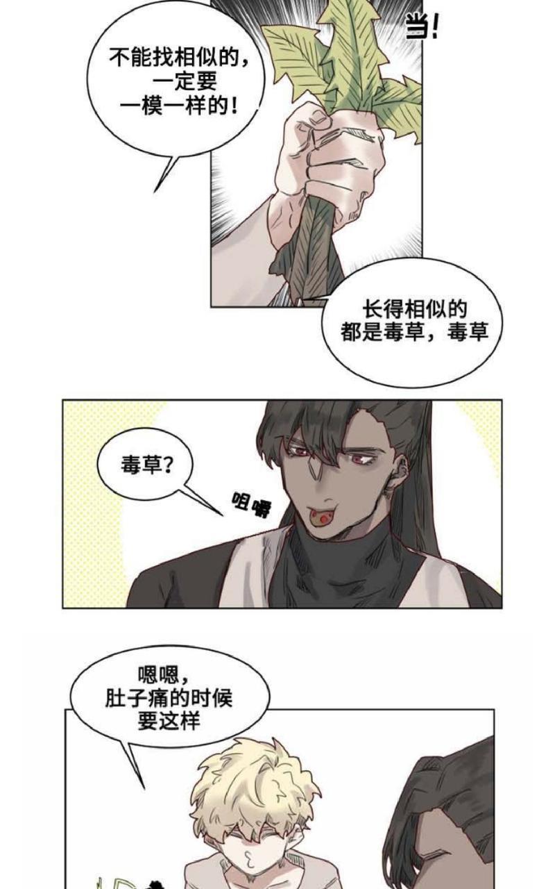 不一样的魔法师/奇幻魔法师[耽美]韩漫全集-第20话无删减无遮挡章节图片 