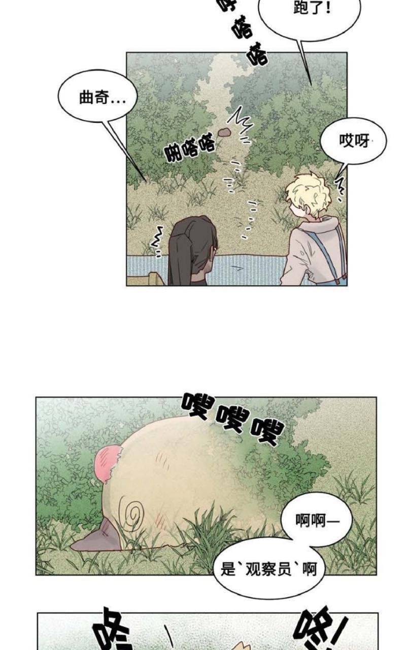 不一样的魔法师/奇幻魔法师[耽美]韩漫全集-第20话无删减无遮挡章节图片 
