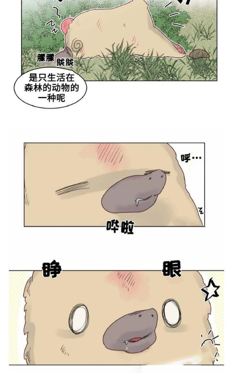 不一样的魔法师/奇幻魔法师[耽美]韩漫全集-第20话无删减无遮挡章节图片 