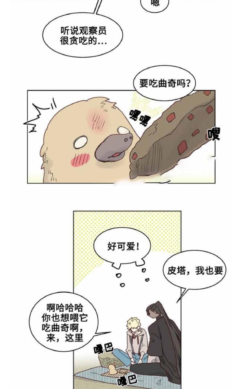 不一样的魔法师/奇幻魔法师[耽美]韩漫全集-第20话无删减无遮挡章节图片 